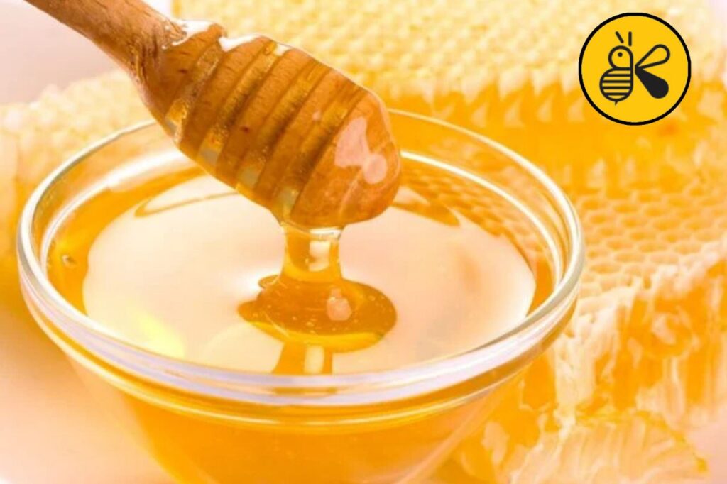 photo 2024 10 29 17 59 58