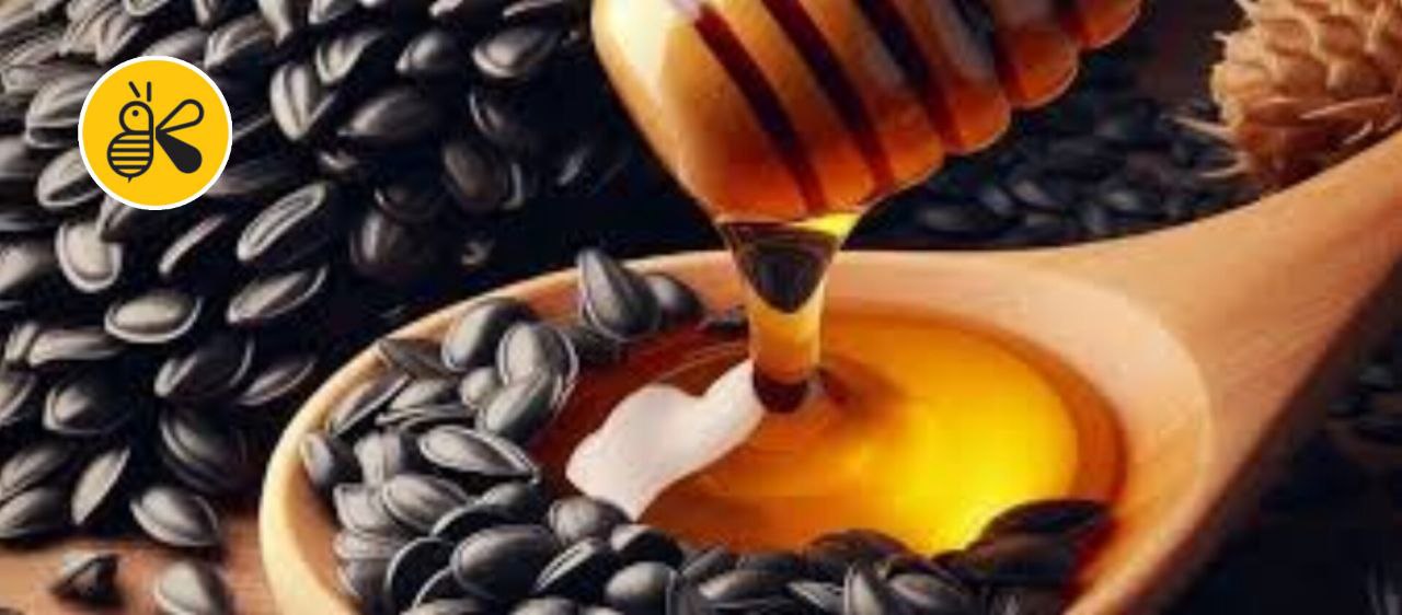 بهترین روش مصرف سیاه‌دانه و عسل صبح ناشتا برای کاهش وزن